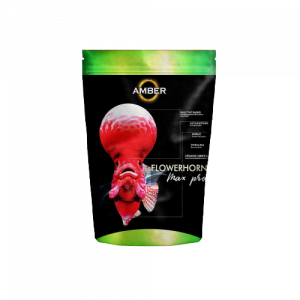 Taiyo Amber Flower Horn Max Pro 100gm Pouch(Medium)