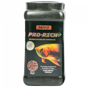 Taiyo Pro Rich Arowana 900gm Cont