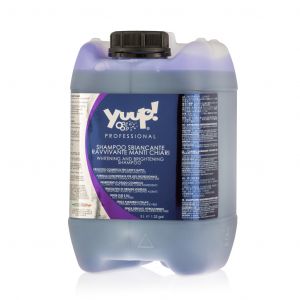 Yuup Professional Whitening and Brightening Shampoo 5 Liter