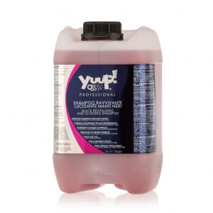 Yuup Professional Black Revitalizing & Glossing  Shampoo 5 Liter