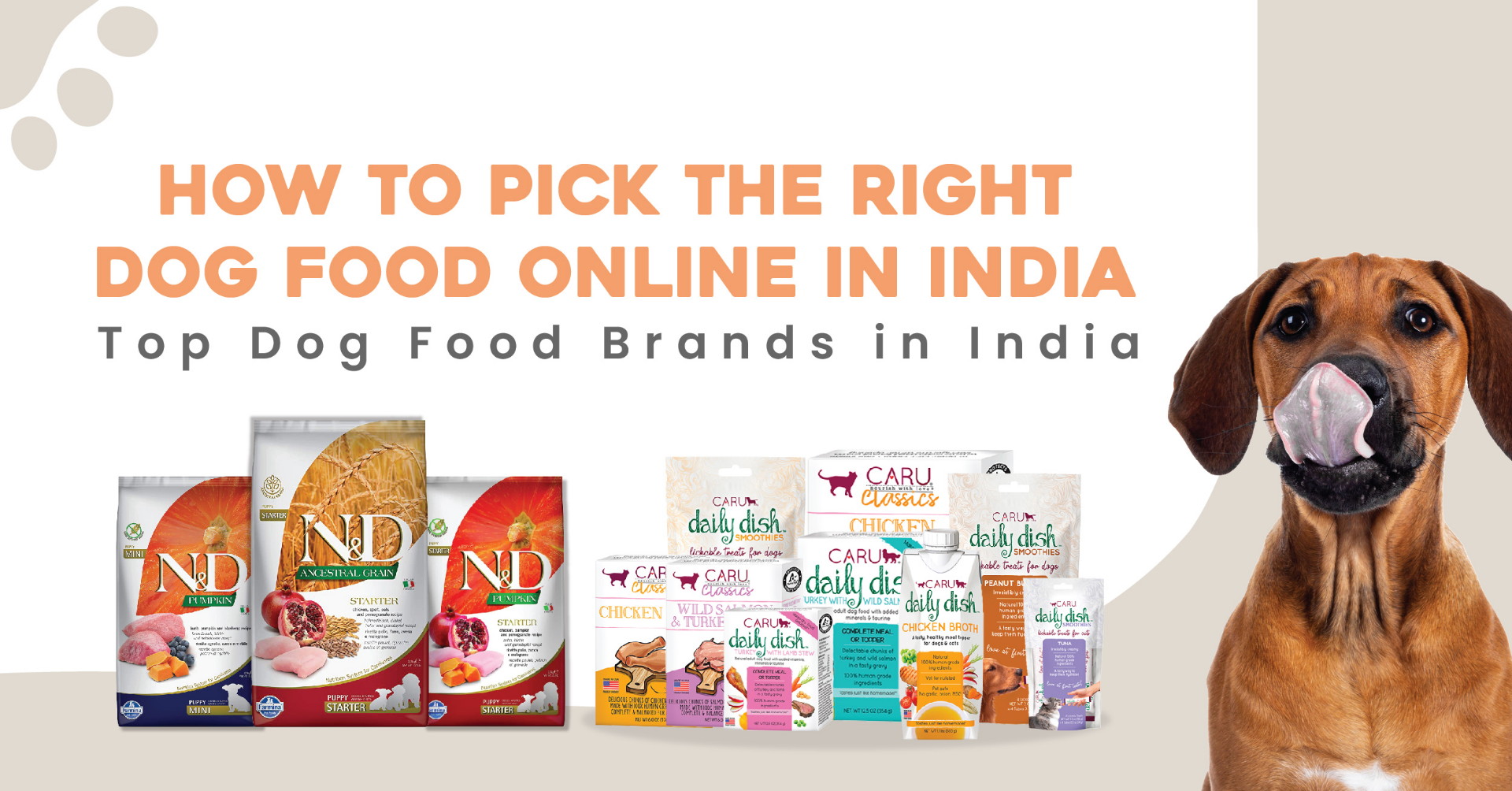 Dog Food Online in India