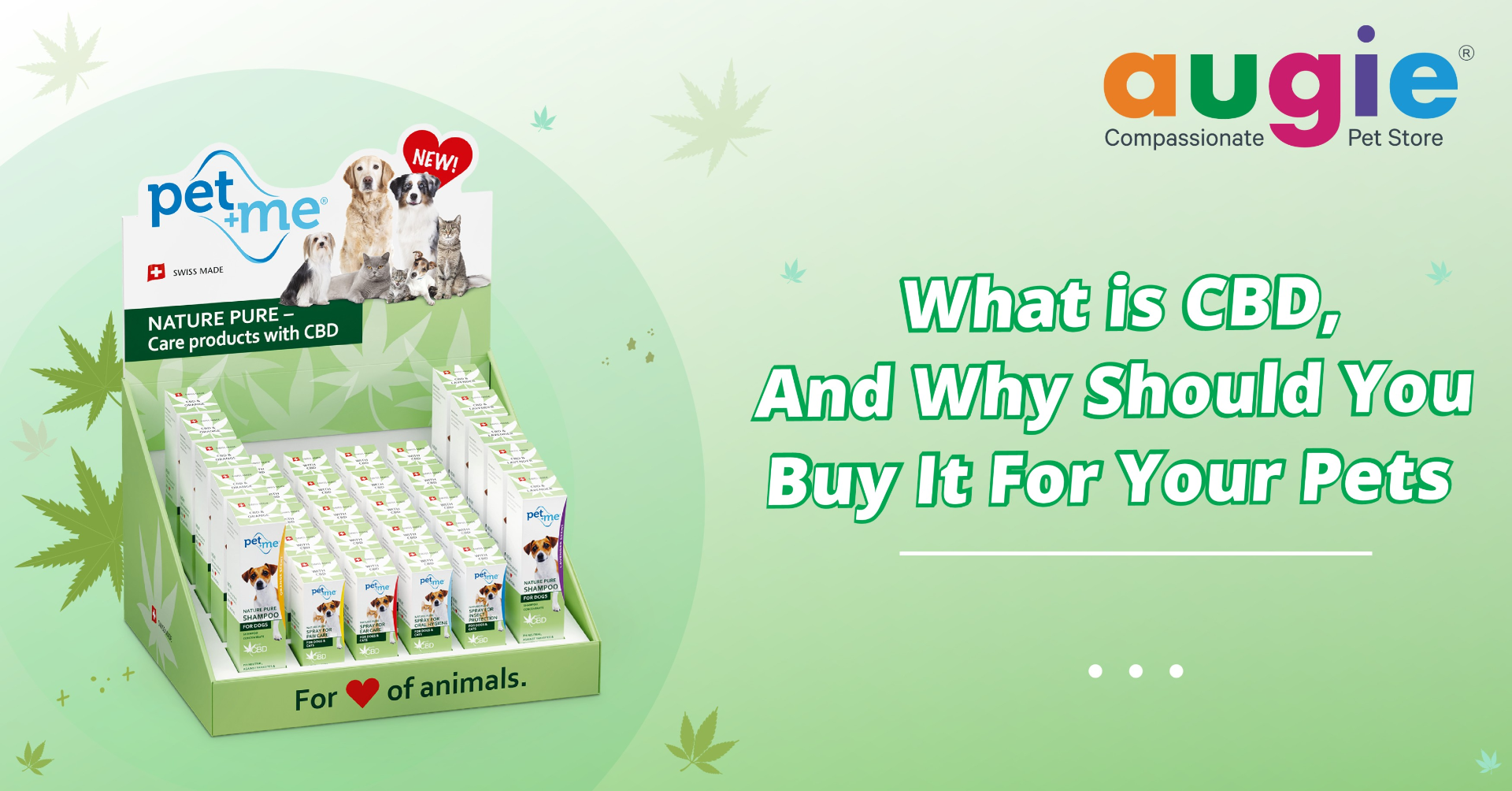 CBD oil For Dogs India