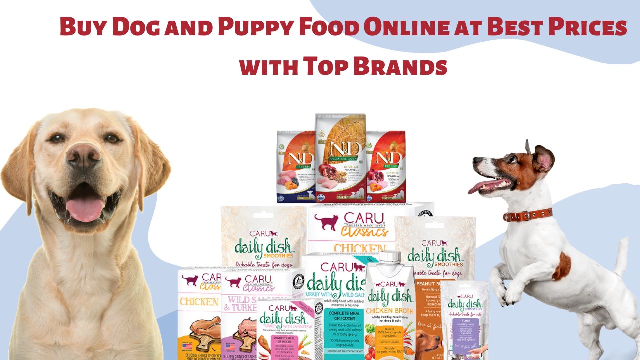 Pet Food Near Me