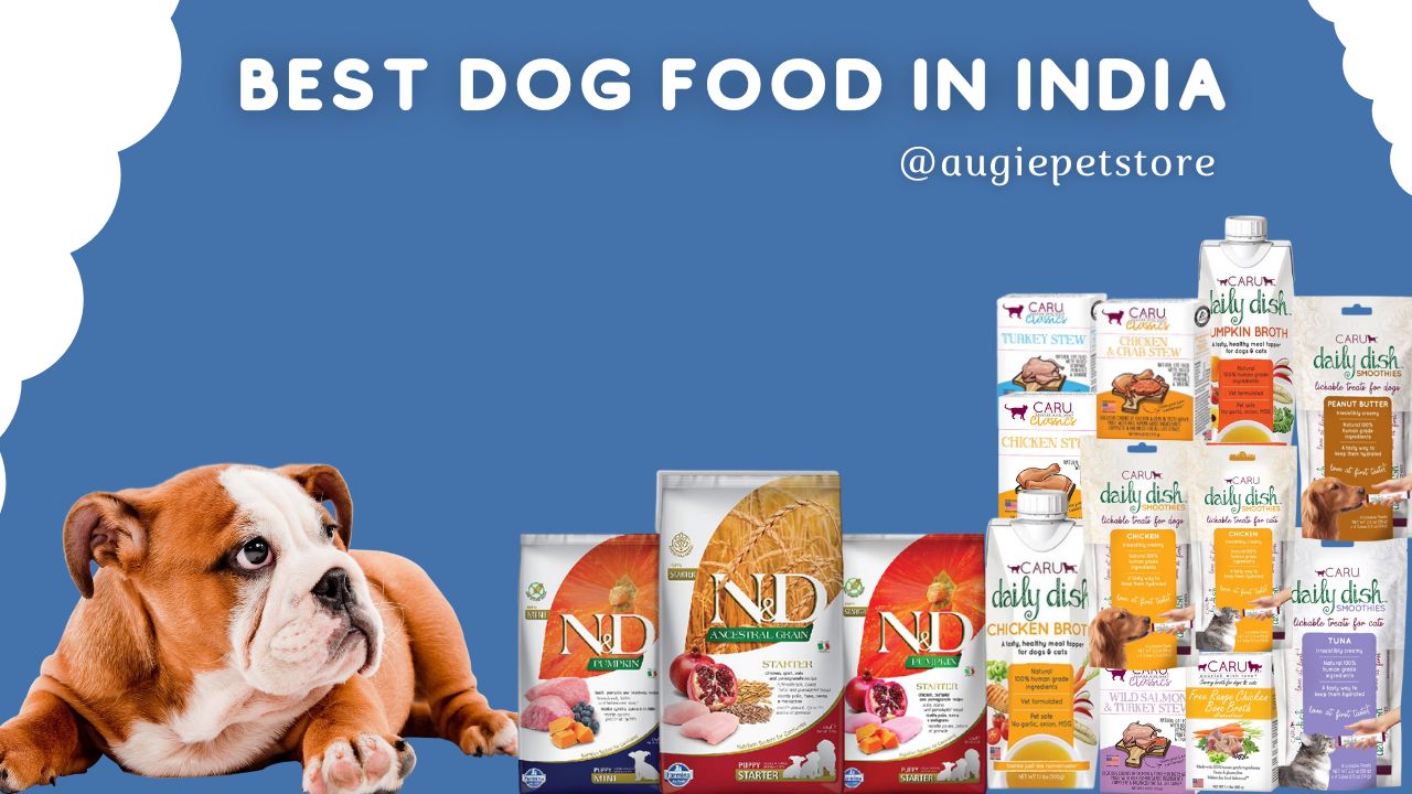 Best Dog Food in India