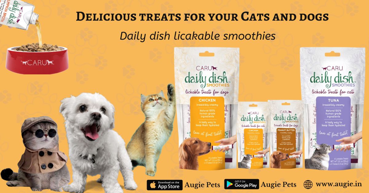 Best Pet Food Shop