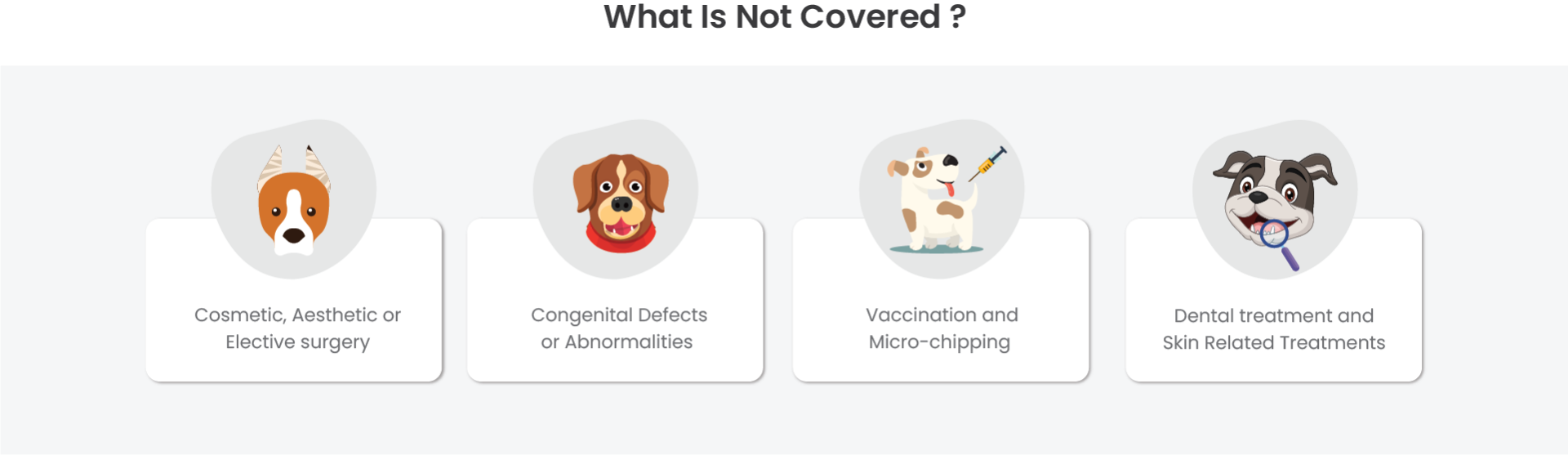 Dog Health Insurance